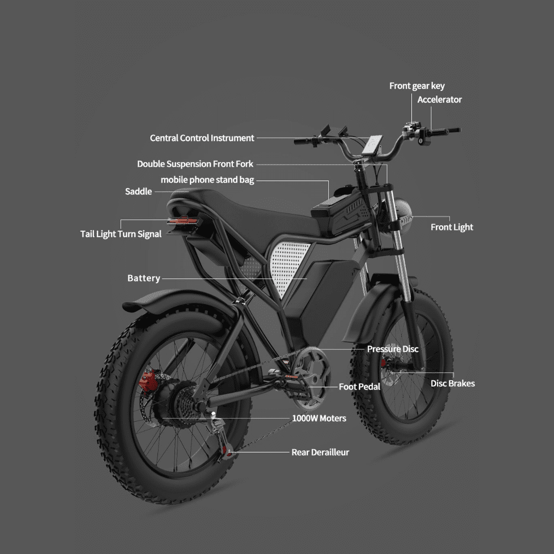 RIDSTAR Q20 ELECTRIC BIKE - ScootiBoo